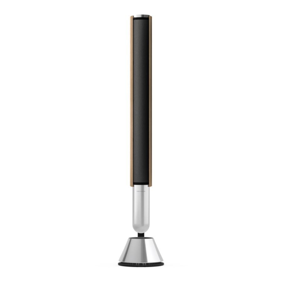 Bang & Olufsen BeoLab 28 Kablosuz Hi-Res Aktif Hoparlör