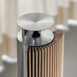 Bang & Olufsen BeoLab 18 Kablosuz Aktif Hoparlör
