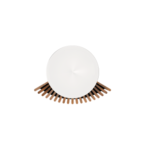 Bang & Olufsen BeoLab 18 Kablosuz Aktif Hoparlör Oak