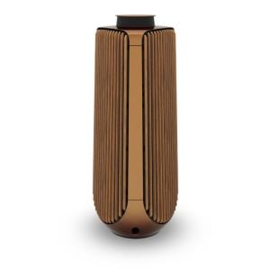 Bang & Olufsen BeoLab 50 Kablosuz High-End Aktif Hoparlör