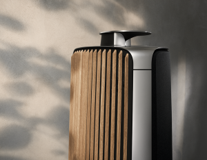 Bang & Olufsen BeoLab 50 Kablosuz High-End Aktif Hoparlör