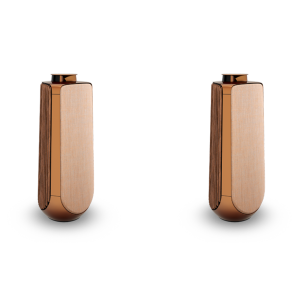 Bang & Olufsen BeoLab 50 Kablosuz High-End Aktif Hoparlör Walnut