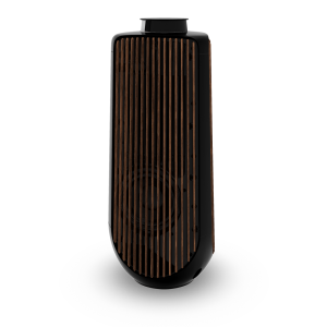 Bang & Olufsen BeoLab 50 Kablosuz High-End Aktif Hoparlör Smoked Oak