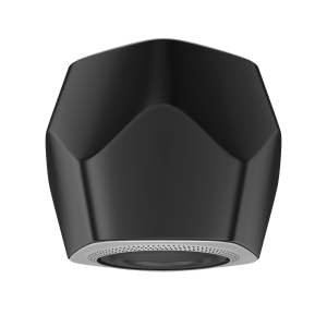 Bang & Olufsen BeoLab 19 High-End Kablosuz Subwoofer Black