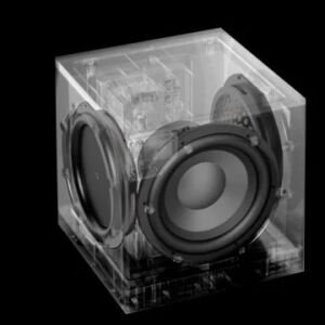 Definitive Descend DN8 Subwoofer