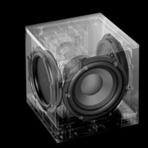 Definitive Descend DN12 Subwoofer