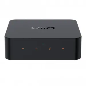 WiiM Pro Kablosuz Multi-Room Network Audio Player