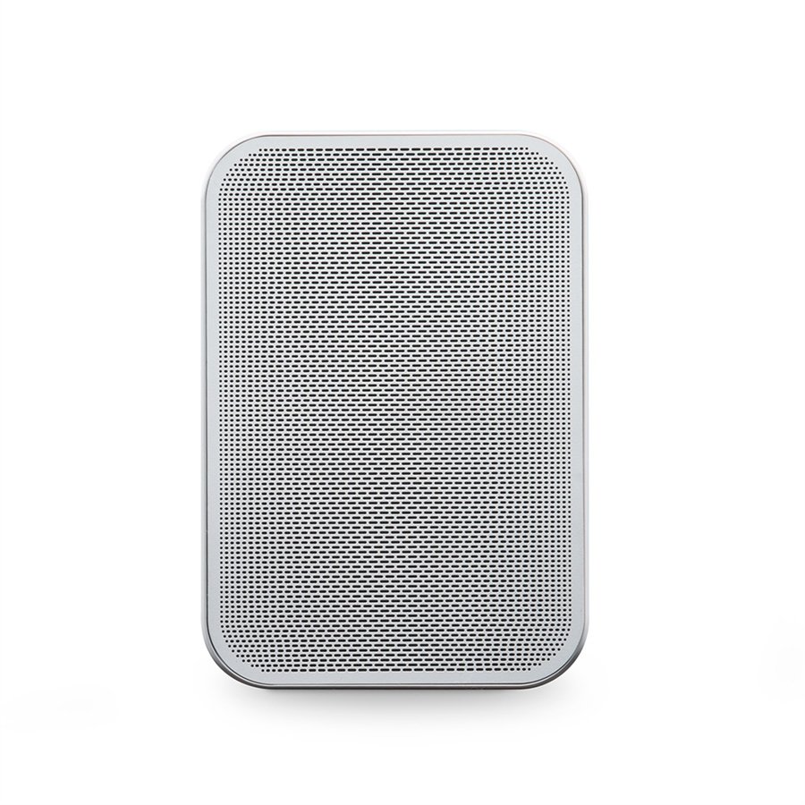 BLUESOUND Pulse Flex 2i Taşınabilir Kablosuz Müzik Yayın Hoparlörü