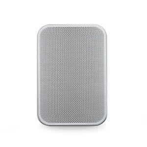 BLUESOUND Pulse Flex 2i Taşınabilir Kablosuz Müzik Yayın Hoparlörü