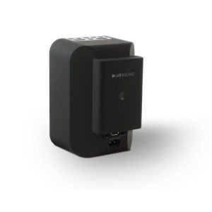 BLUESOUND BP 100 Pulse Flex İçin Ek Batarya Ünitesi