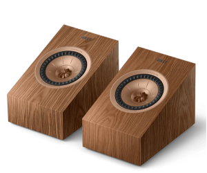 KEF R8A Meta Hoparlör Ceviz